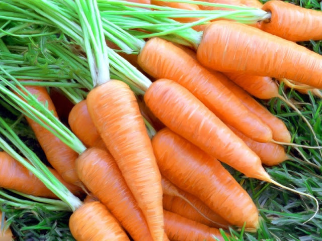 Betacarotenos Contra los Efectos del Sol